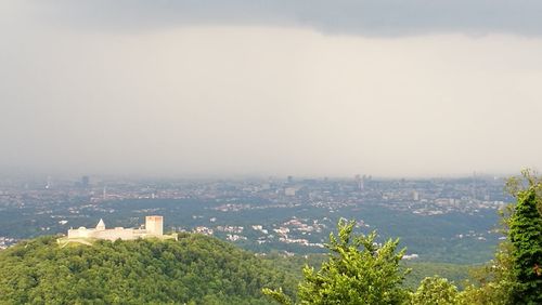 Trees and cityscape against sky