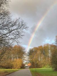 Scenic view of rainbow over trees against sky