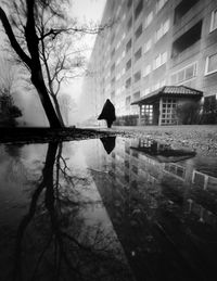 Reflection of silhouette trees on puddle in city