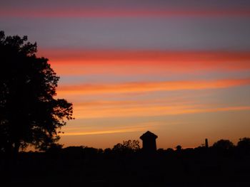 Silhouette trees against orange sky