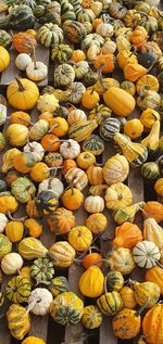 Full frame shot of pumpkins for sale at market stall