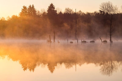 Reflection of trees in lake during sunset