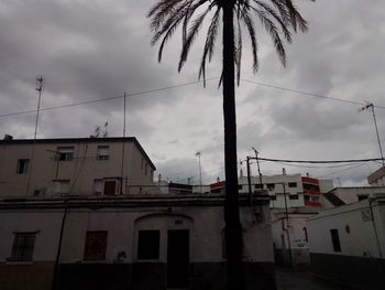 Low angle view of palm tree and building against sky