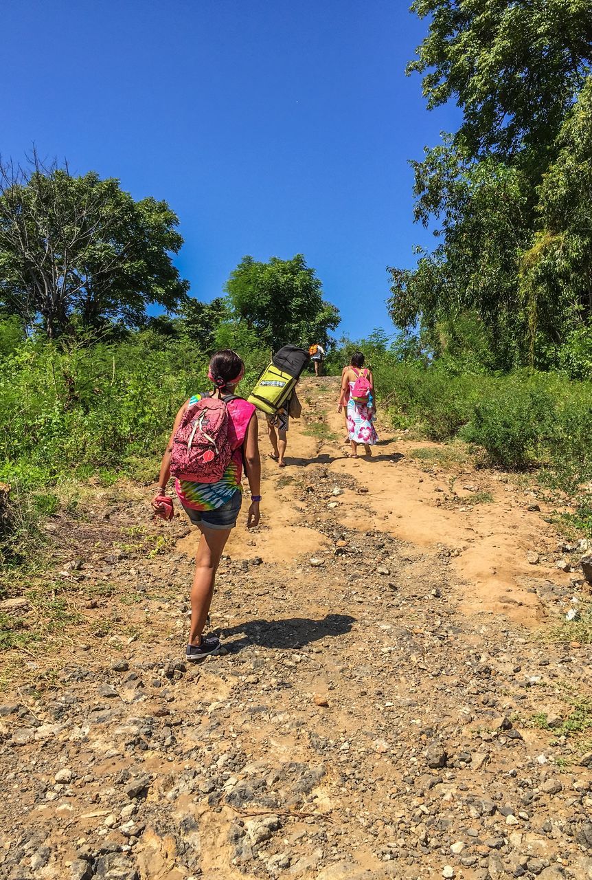 leisure activity, lifestyles, full length, childhood, clear sky, boys, casual clothing, togetherness, blue, girls, tree, elementary age, sunlight, walking, rear view, bonding, family