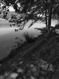 Scenic view of lake in forest against sky