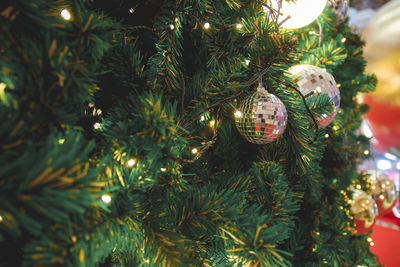 Close-up of christmas tree