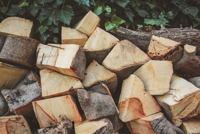 Close-up of logs in forest