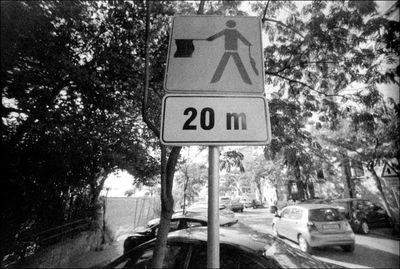 Road sign by trees in city