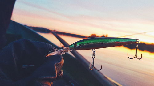 Close-up of hand holding leaf in car