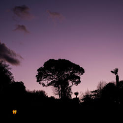 Low angle view of silhouette trees against sky at sunset