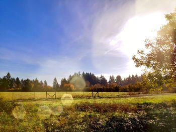 Scenic view of field against sky