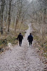 Rear view of people walking in forest during autumn