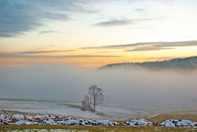 Scenic view of snow covered land against sky during sunset