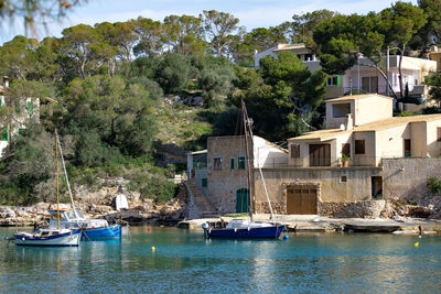 Sailboats moored on river by townscape against trees