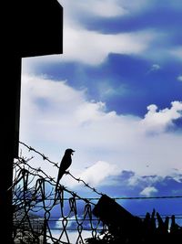 Low angle view of bird perching on a fence