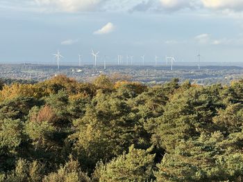 environmental conservation