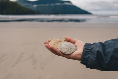 Close-up of hand holding ice cream on beach