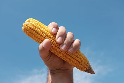 Close-up of cropped hands against blue sky