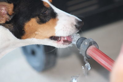 Taking a drink of water