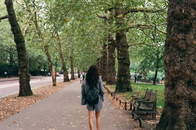 Rear view of woman walking on footpath amidst trees