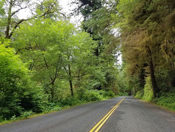 Empty road amidst trees in forest