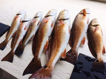 High angle view of fish on cutting board