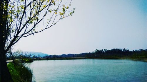 Scenic view of lake against clear sky