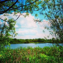 Scenic view of lake against sky