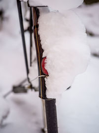 Close-up of snow on ice