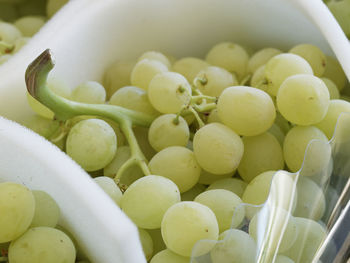 Close up of food in bowl