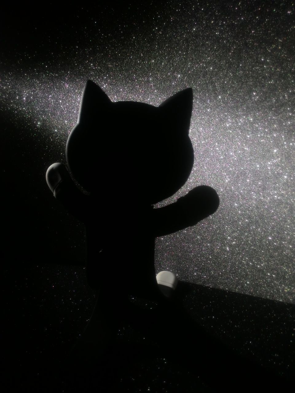 SILHOUETTE OF CAT