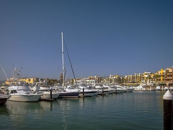 Sailboats moored in harbor