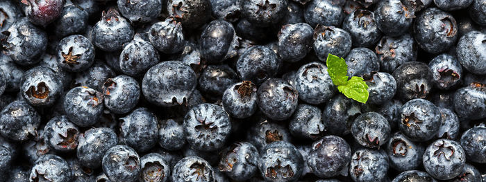 Full frame shot of blueberries