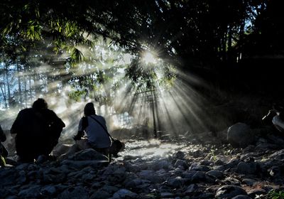 Rear view of people sitting on land by trees in forest