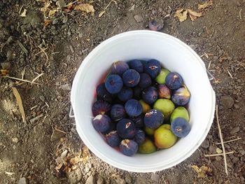 Directly above shot of figs and pears in container on field