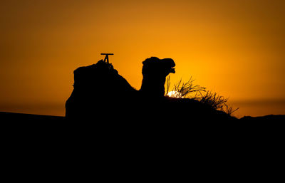 Silhouette man against sky during sunset