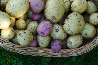 Close-up of potatoes in wicker basket