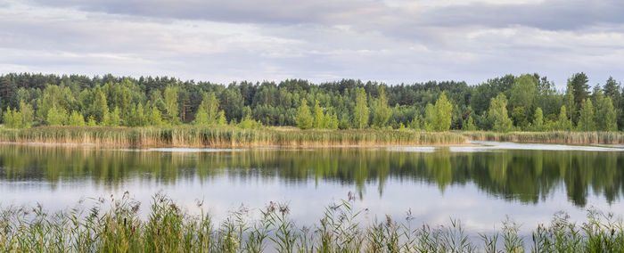 Scenic view of lake in forest against sky