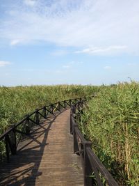 View of boardwalk against sky