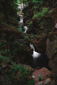 Stream flowing through rocks in forest