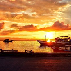 Silhouette boats in harbor at sunset