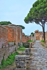 Excavated ancient roman street