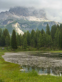 Scenic view of lake by trees against sky