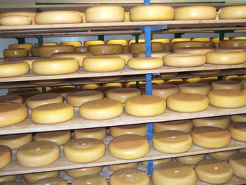 Full frame shot of cheese arranged on shelves at factory