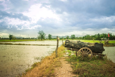 Scenic view of field against sky