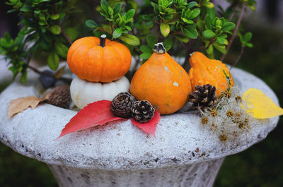 Background of autumn harvest of small orange different pumpkins close up. top view. holiday