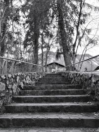 Low angle view of stairs along trees