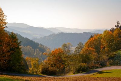 Scenic view of trees and mountains against sky during autumn