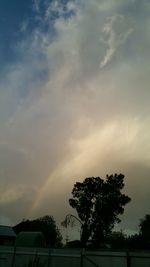 Low angle view of tree and rainbow against sky