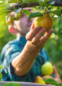 Midsection of man holding fruit